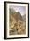Bridge over the Sutlej at Wangtoo, from 'India Ancient and Modern', 1867 (Colour Litho)-William 'Crimea' Simpson-Framed Giclee Print