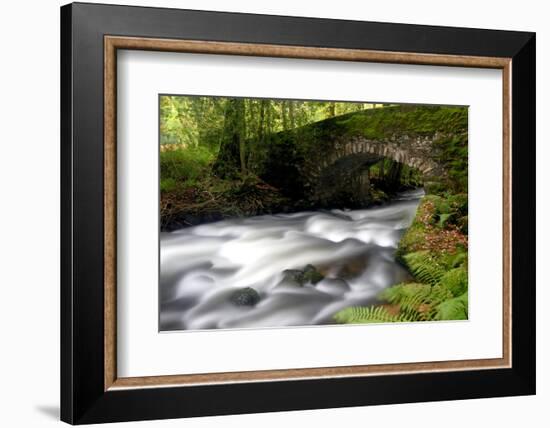 Bridge over the the River Dart, Dartmoor National Park, Devon-Ross Hoddinott-Framed Photographic Print