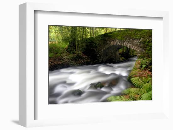 Bridge over the the River Dart, Dartmoor National Park, Devon-Ross Hoddinott-Framed Photographic Print
