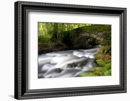 Bridge over the the River Dart, Dartmoor National Park, Devon-Ross Hoddinott-Framed Photographic Print