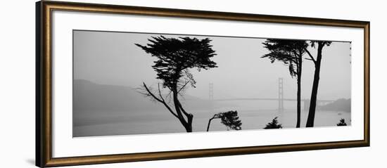 Bridge over Water, Golden Gate Bridge, San Francisco, California, USA-null-Framed Photographic Print