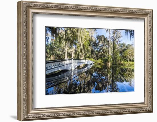 Bridge Refelcting in a Pond in the Magnolia Plantation Outside Charleston, South Carolina, U.S.A.-Michael Runkel-Framed Photographic Print