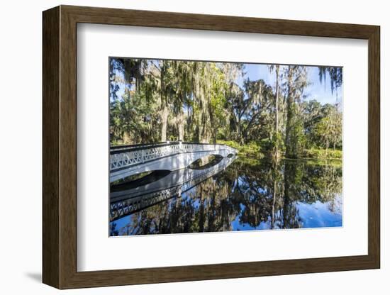 Bridge Refelcting in a Pond in the Magnolia Plantation Outside Charleston, South Carolina, U.S.A.-Michael Runkel-Framed Photographic Print