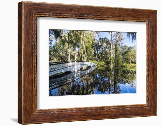 Bridge Refelcting in a Pond in the Magnolia Plantation Outside Charleston, South Carolina, U.S.A.-Michael Runkel-Framed Photographic Print