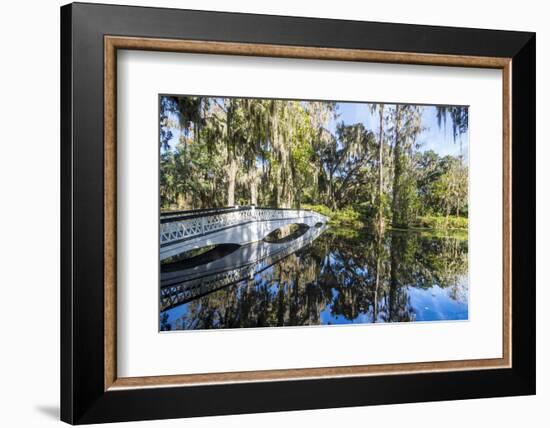 Bridge Refelcting in a Pond in the Magnolia Plantation Outside Charleston, South Carolina, U.S.A.-Michael Runkel-Framed Photographic Print