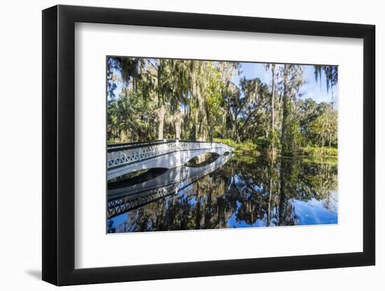 Bridge Refelcting in a Pond in the Magnolia Plantation Outside Charleston, South Carolina, U.S.A.-Michael Runkel-Framed Photographic Print