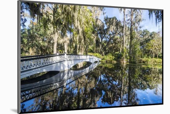 Bridge Refelcting in a Pond in the Magnolia Plantation Outside Charleston, South Carolina, U.S.A.-Michael Runkel-Mounted Photographic Print