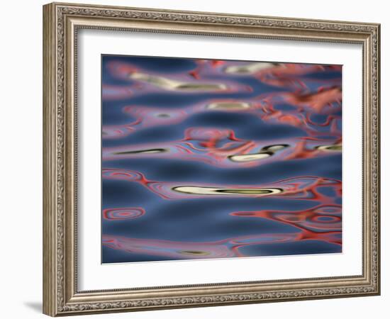 Bridge Reflections Create Abstract Patterns in Water, Socorro, New Mexico, USA-Arthur Morris-Framed Photographic Print