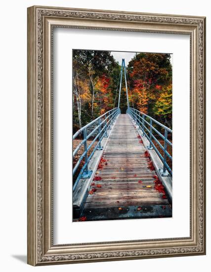Bridge To The Nature, New Hampshire-George Oze-Framed Photographic Print