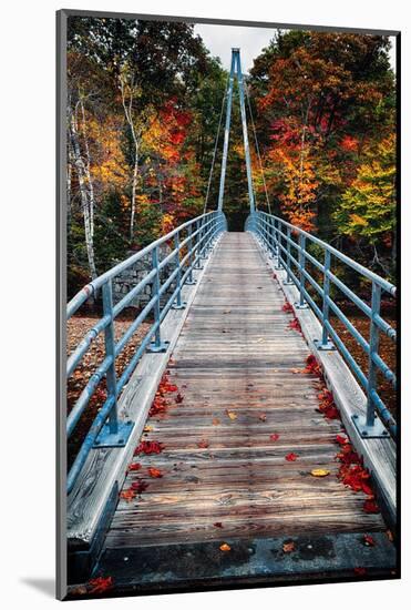 Bridge To The Nature, New Hampshire-George Oze-Mounted Photographic Print