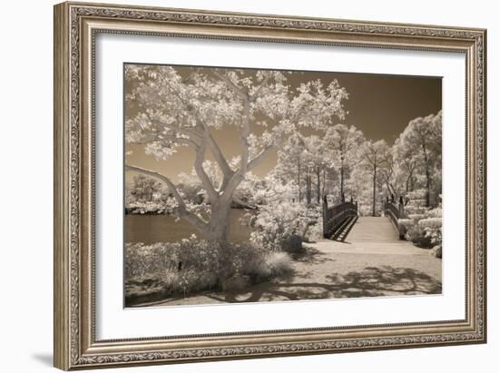 Bridge & Trees At Japanese Gardens, Delray Beach, Florida '10-Monte Nagler-Framed Photographic Print