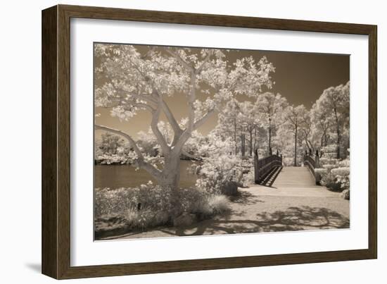 Bridge & Trees At Japanese Gardens, Delray Beach, Florida '10-Monte Nagler-Framed Photographic Print