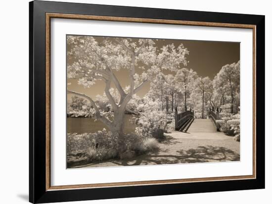 Bridge & Trees At Japanese Gardens, Delray Beach, Florida '10-Monte Nagler-Framed Photographic Print