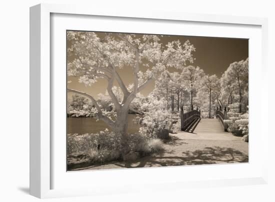 Bridge & Trees At Japanese Gardens, Delray Beach, Florida '10-Monte Nagler-Framed Photographic Print