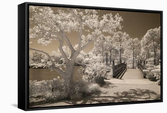 Bridge & Trees At Japanese Gardens, Delray Beach, Florida '10-Monte Nagler-Framed Stretched Canvas