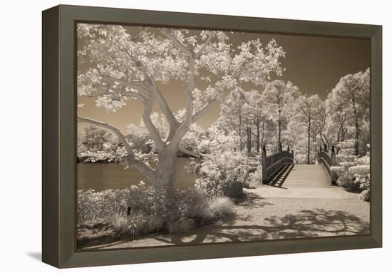 Bridge & Trees At Japanese Gardens, Delray Beach, Florida '10-Monte Nagler-Framed Premier Image Canvas