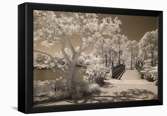 Bridge & Trees At Japanese Gardens, Delray Beach, Florida '10-Monte Nagler-Framed Premier Image Canvas