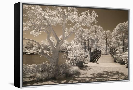 Bridge & Trees At Japanese Gardens, Delray Beach, Florida '10-Monte Nagler-Framed Premier Image Canvas