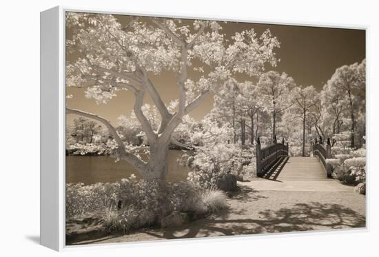 Bridge & Trees At Japanese Gardens, Delray Beach, Florida '10-Monte Nagler-Framed Premier Image Canvas