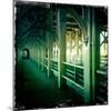 Bridge Walkway-Craig Roberts-Mounted Photographic Print