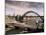 Bridges Across the River Tyne, Newcastle-Upon-Tyne, Tyne and Wear, England, United Kingdom-Michael Busselle-Mounted Photographic Print