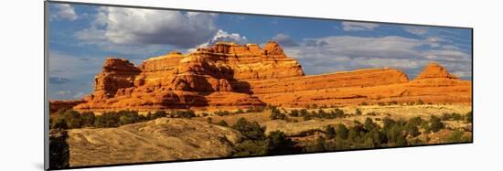 Bridges National Monument. Utah, USA.-Tom Norring-Mounted Photographic Print