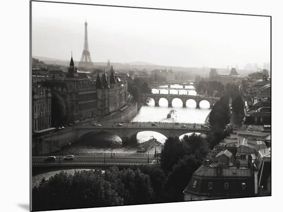 Bridges over the Seine river, Paris-Michel Setboun-Mounted Art Print