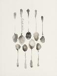 Orchestra of Spoons-Bridget Davies-Giclee Print