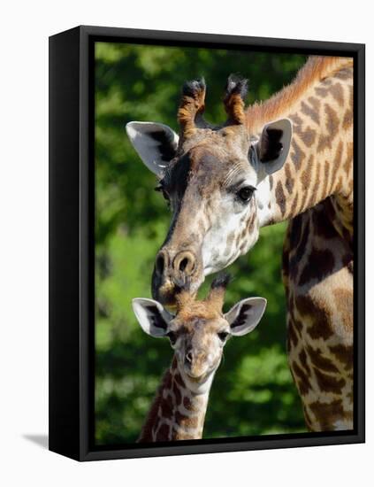 Bridgit and Her 3-Week Old Son Mac-null-Framed Premier Image Canvas