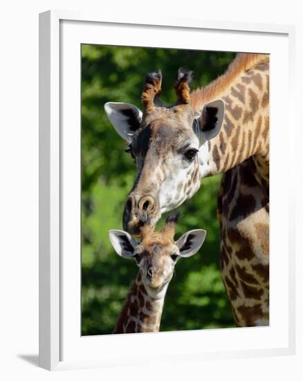 Bridgit and Her 3-Week Old Son Mac-null-Framed Photographic Print