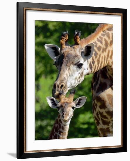 Bridgit and Her 3-Week Old Son Mac-null-Framed Photographic Print