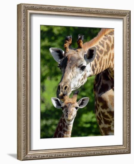 Bridgit and Her 3-Week Old Son Mac-null-Framed Photographic Print