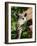 Bridgit and Her 3-Week Old Son Mac-null-Framed Photographic Print