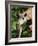 Bridgit and Her 3-Week Old Son Mac-null-Framed Photographic Print