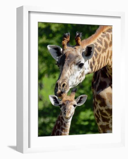 Bridgit and Her 3-Week Old Son Mac-null-Framed Photographic Print