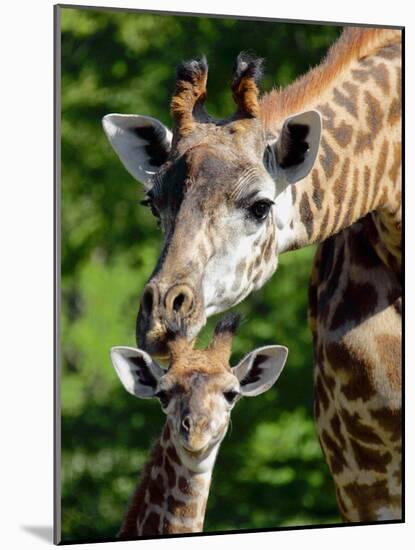 Bridgit and Her 3-Week Old Son Mac-null-Mounted Photographic Print