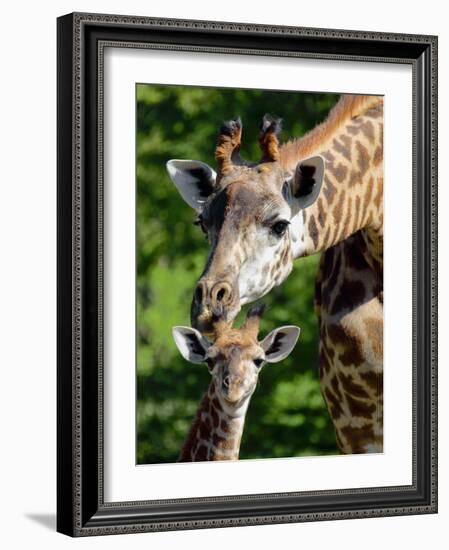 Bridgit and Her 3-Week Old Son Mac-null-Framed Photographic Print