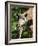 Bridgit and Her 3-Week Old Son Mac-null-Framed Photographic Print