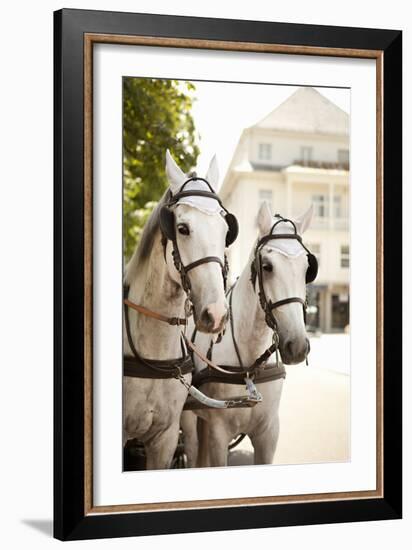 Bridled Horses-Karyn Millet-Framed Photographic Print