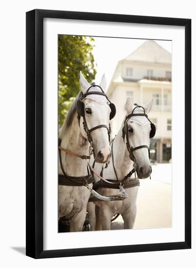 Bridled Horses-Karyn Millet-Framed Photographic Print