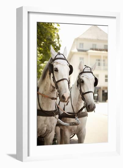 Bridled Horses-Karyn Millet-Framed Photographic Print