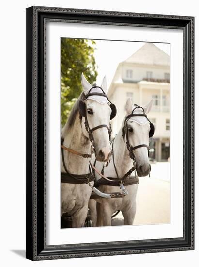 Bridled Horses-Karyn Millet-Framed Photographic Print