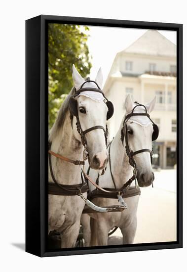 Bridled Horses-Karyn Millet-Framed Premier Image Canvas