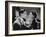 Brief Encounter, Trevor Howard, Celia Johnson, 1945-null-Framed Photo