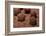 Brigadeiro-Beto Chagas-Framed Photographic Print