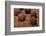 Brigadeiro-Beto Chagas-Framed Photographic Print