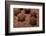 Brigadeiro-Beto Chagas-Framed Photographic Print