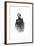 Brigadier-General Irvin Mcdowell, American Military Officer-null-Framed Giclee Print