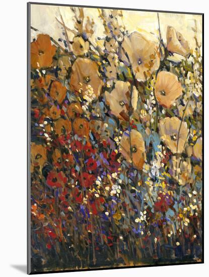 Bright and Bold Flowers I-Tim O'toole-Mounted Art Print