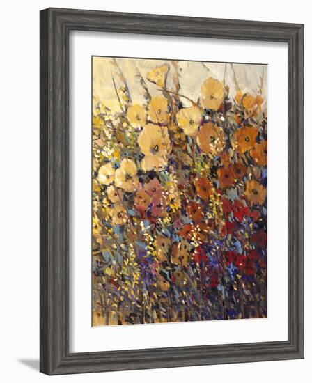 Bright and Bold Flowers II-Tim O'toole-Framed Art Print